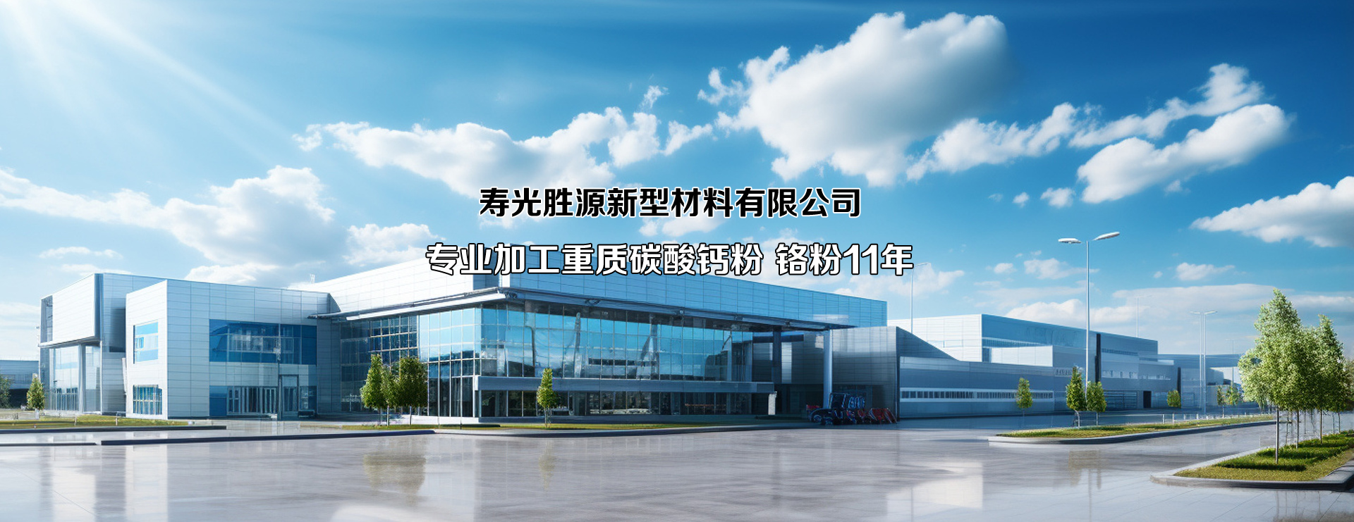 重质碳酸钙粉_铬粉厂家寿光胜源新型材料有限公司